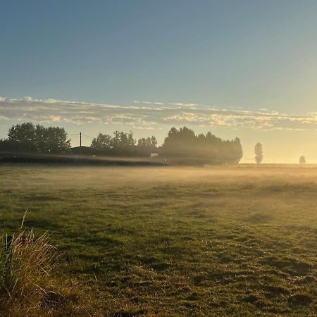 Kamille Villa Middelkerke Luaran gambar